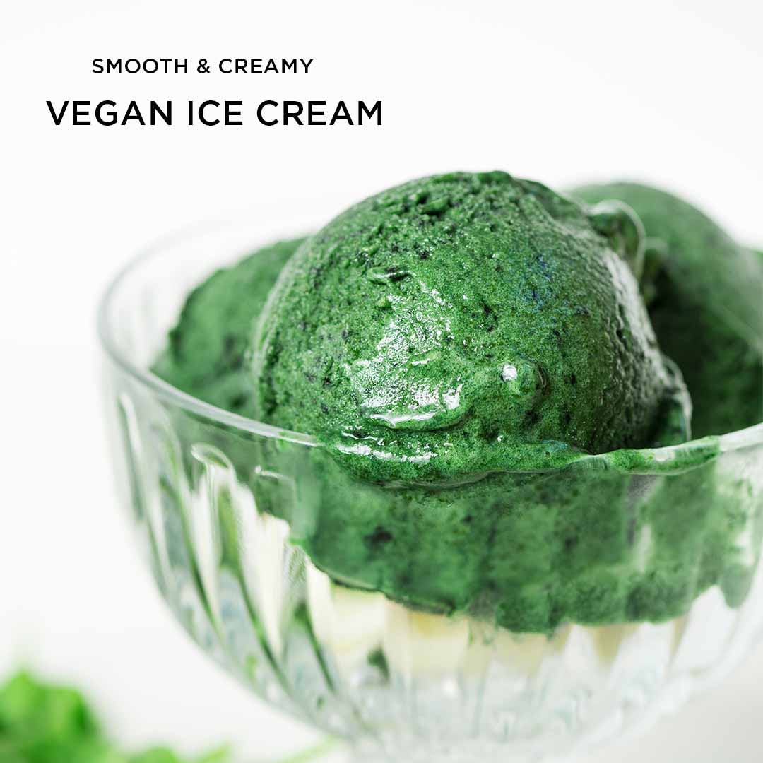 Vegan Ice cream – BioGenesis